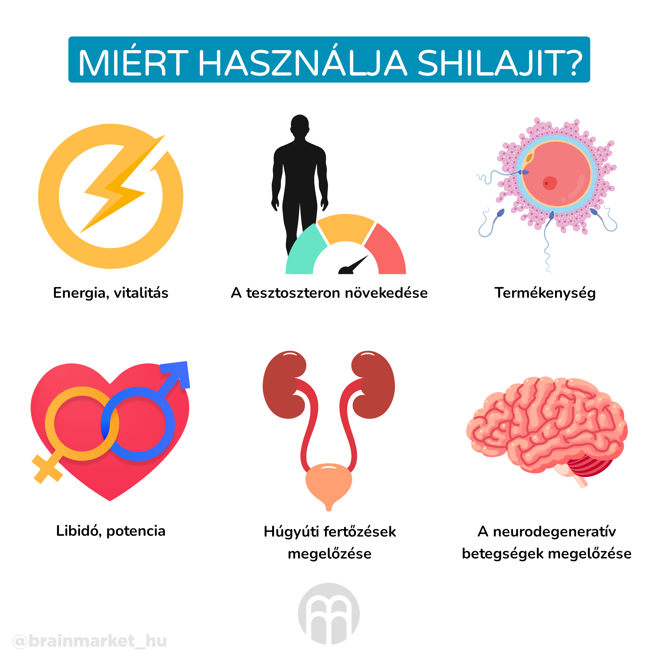 Proč užívat Shilajit__infografika_hu